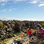 Viajar en Crucero a las Islas Galápagos desde Serbia