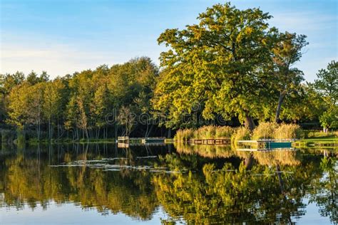 Paisaje Natural Del Lago Alta Definici N El Movimiento De Las Olas En