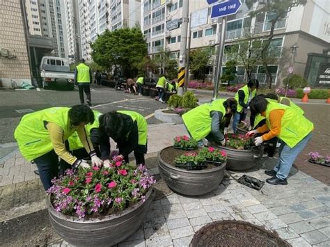 수원시 영통구 매탄1동 새봄맞이 초화식재 실시