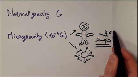 The impact of gravity changes on our body