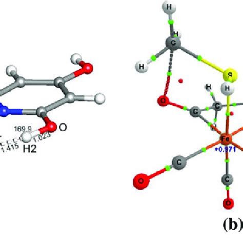 A Dft Optimized Structure Of Complex B Qtaim Analyzed Bond Paths And