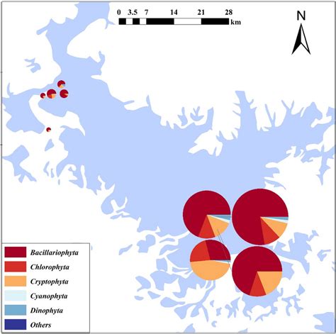 Spatial Distribution Phytoplankton Biomass And Community Structure