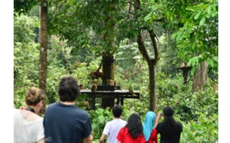 Sepilok Orangutan Rehabilitation Centre