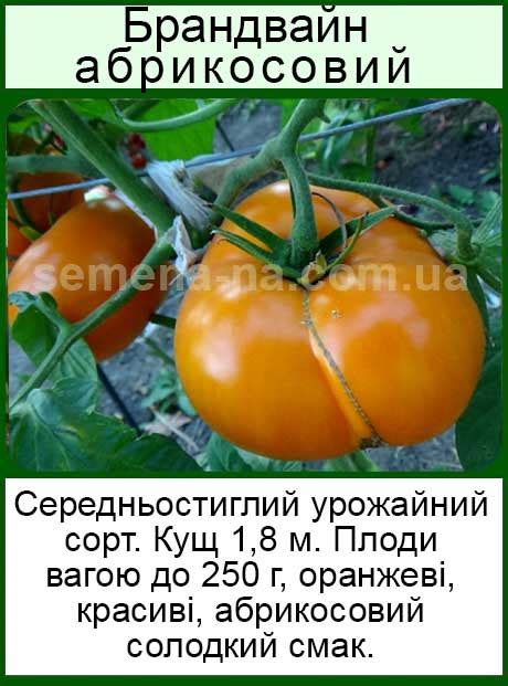 Семена высокорослых (вьющихся) помидор