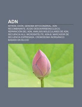 Libro Adn Intr N Ex N Genoma Mitocondrial Adn Recombinante Cido