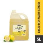 Buy Eco Hygiene Dish Wash Gel Lemon Liter Online At Best Prices