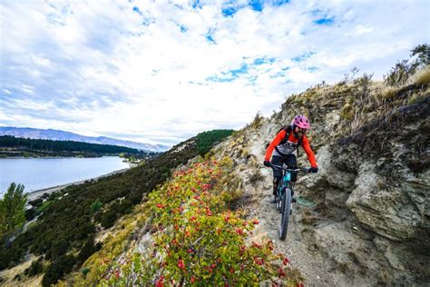 mountain biking  nz mountain biking  zealand mtb adventure