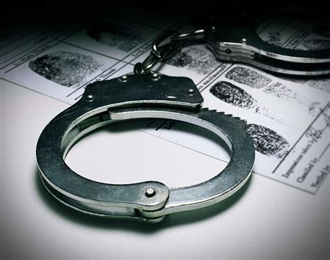 Identifying venomous snakes in Texas: A safety guide