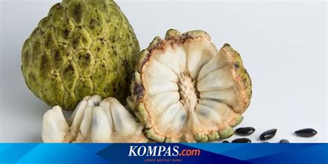 Manfaat Buah Srikaya Untuk Kesehatan Tubuh Anda