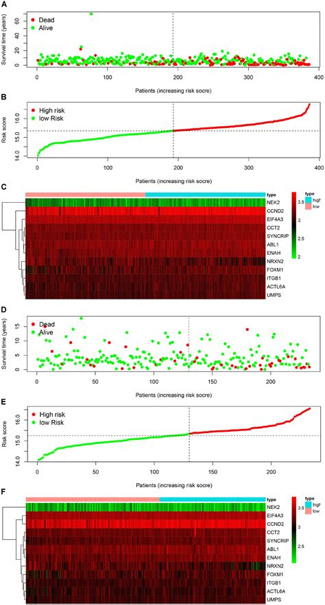 Frontiers Identification Of A Twelve Gene Signature And Establishment