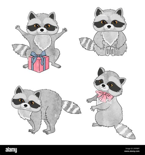 Set Of Cute Raccoons Isolated On White Vector Cartoon Illustration