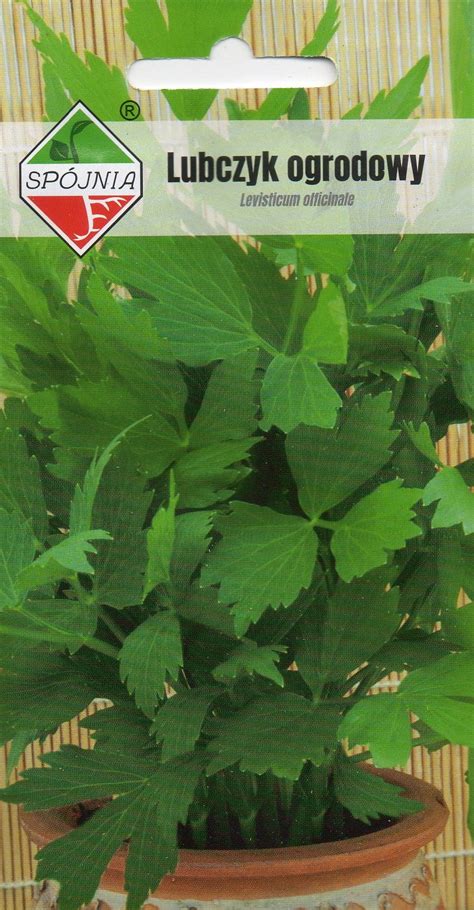 Lubczyk Ogrodowy 1g Levisticum Officinale Nasiona Agromarket24 Pl