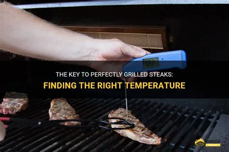 The Key To Perfectly Grilled Steaks: Finding The Right Temperature ...