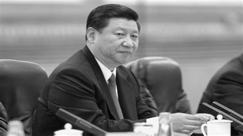 “真人秀“辟谣？习近平会见新当选的越共总书记苏林 中国国家主席 习近平 苏共 中央縂书记 越南国家主席 苏林 举行