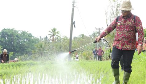 NUSABALI Apresiasi Peran Petani Pj Gubernur Serahkan Bantuan