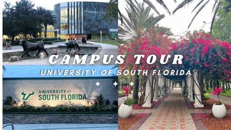 University Of South Florida Campus Tour Tampa Youtube