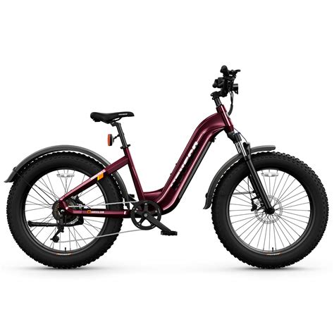 What Lesson Was Learned Pedaling A Fat Tire E-Bike? – HOVSCO