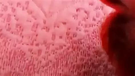 Free Bareback Breeding Compilation Gay Porn Videos Xhamster