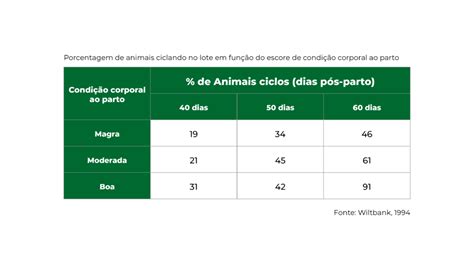 Esta O De Monta Por Que Come Ar A Planejar Agora Agblog