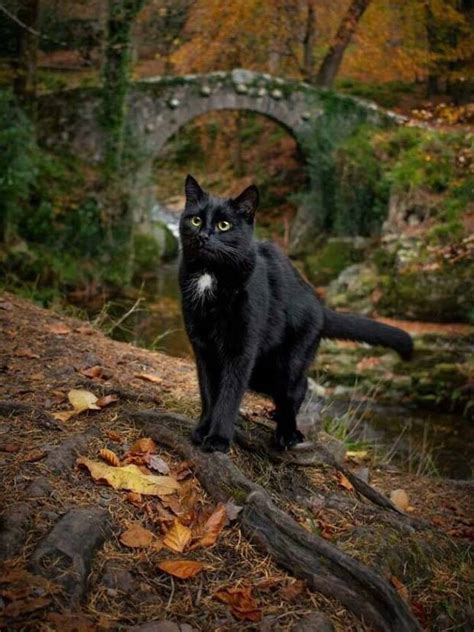 Amateur Snaps That Redefine Photography KLYKER