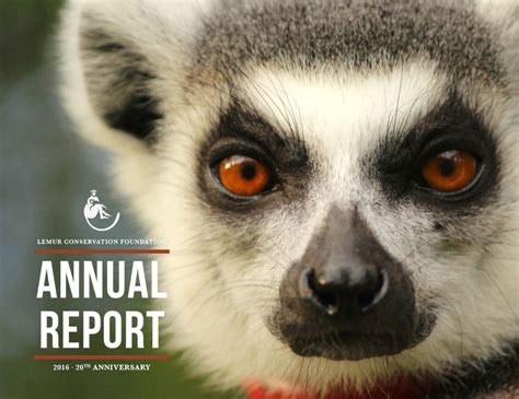 History Of Lemur Conservation Foundation The Lemur Conservation