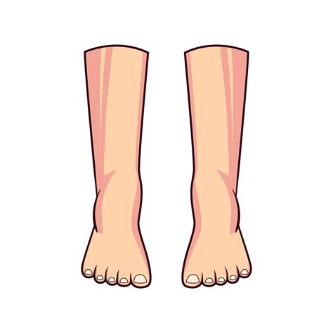 Cartoon Illustration Foot Isolated White Backgound Cartoon