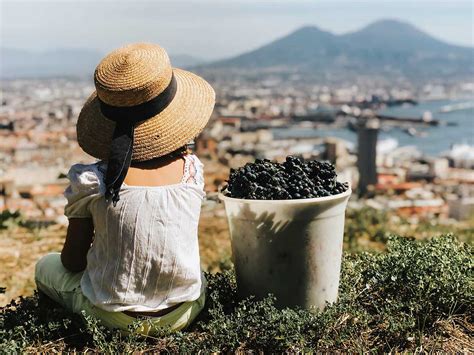 La Vendemmia Con I Bambini In Italia Appuntamenti Regione Per