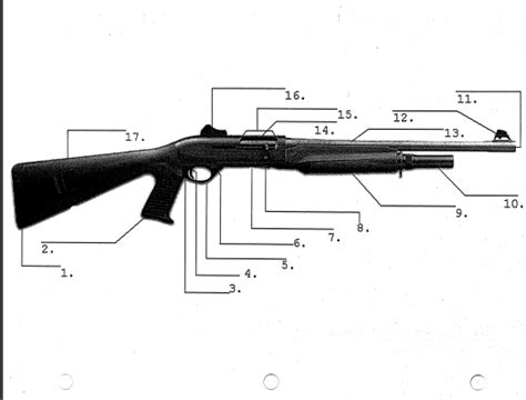 Firearms Diagram Diagram Quizlet