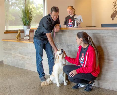 Dog Daycare Franchise | All American Pet Resorts Franchise