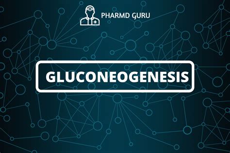 7. GLUCONEOGENESIS - PHARMD GURU