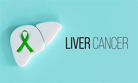 Liver Cancer Causes Symptoms Diagnosis And Treatment Options Healthella