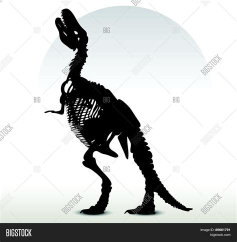 Dinosaurs Trex Vector And Photo Free Trial Bigstock