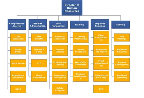 Hr Hierarchy Chart Edrawmax Template Images