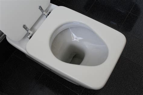 Wc Senza Brida In Bagno Vantaggi Prezzo Problemi Fratelli