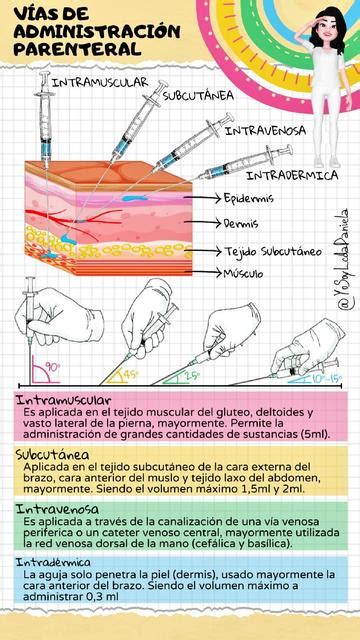 Pac Fico Rbol Tel Fono Cuales Son Las Vias Parenterales De