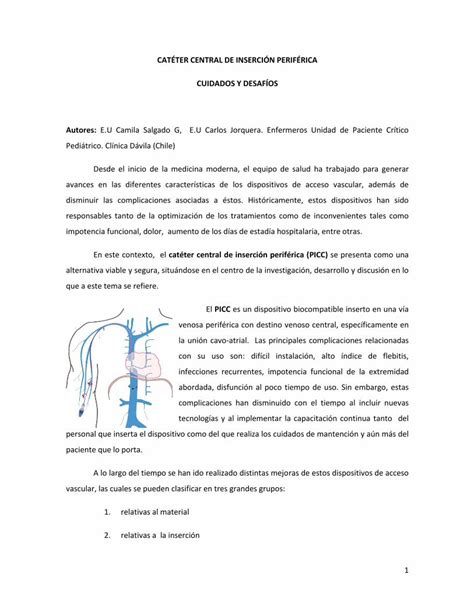 Pdf Cat Ter Central De Inserci N Perif Rica Cuidados Y Venosa