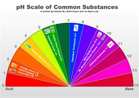 pH Scale - Acids and Bases