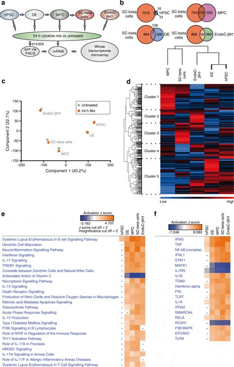 Analysis Of Transcriptome Microarray Data A Schematic Description Of