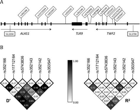 Tlr9 Gene Region Polymorphisms And Susceptibility To Tuberculosis In Vietnam Abstract