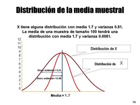 Estadística Distribuciones De Muestreo