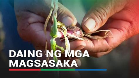 Mga Magsasaka Sa Occidental Mindoro Dumadaing Dahil Sa El Ni O Abs