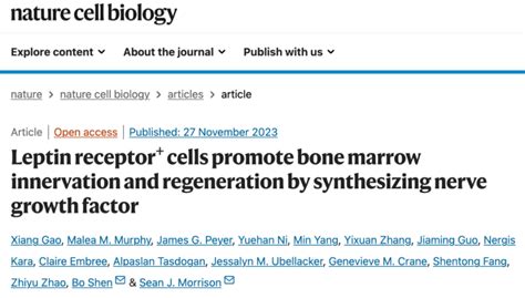 Nature子刊：沈博团队揭示骨髓移植后神经促进造血干细胞和血管再生的机制腾讯新闻