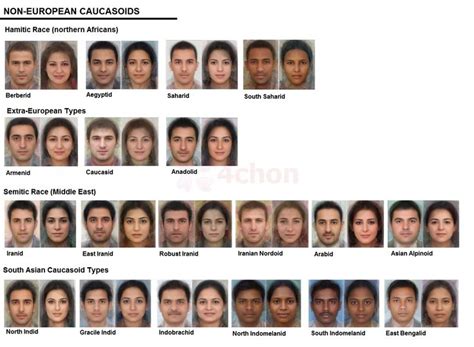 Body Types Facial Anatomy Anthropology