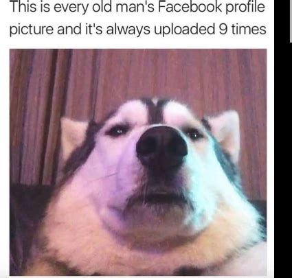 old man dog meme : r/eddievr