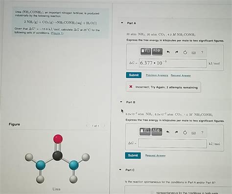 Solved Urea NH CONH2 An Important Nitrogen Fertilizer Is Chegg