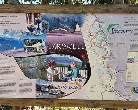 The 10 Best Things To Do In Cardwell 2024 Must See Attractions