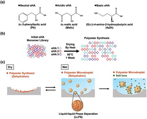 chemical structure     uihas studied  polyester