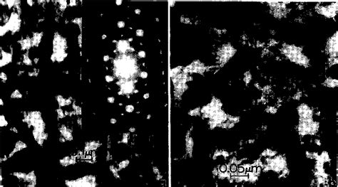 Figure From Deformation Twins In A Shock Loaded Ta W O W Precursor