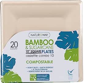 Amazon NatureZway 10 Bamboo Sugarcane Square Plates 100 PACK