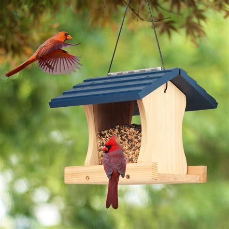 Fun Express Diy Bird Feeder Kit Set Of 12 Diy Bird